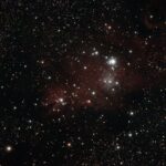 NGC2264というクリスマスツリー星団について詳しく教えてください。